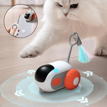 Interactive Cat Toy - Fitlab
