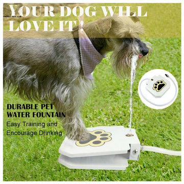 Pet Intelligent Automatic Water Dispenser - Fitlab