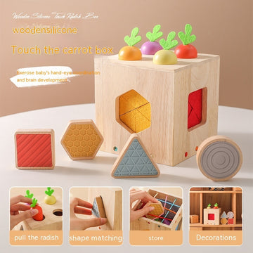 Wooden Geometric Shape Toys - Fitlab