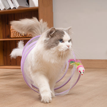 Folded Cat Tunnel - Fitlab