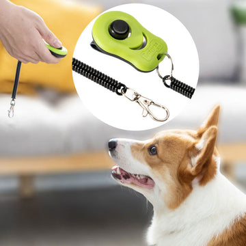 Dog Training Artifact Equipment - Fitlab