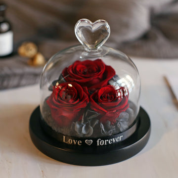 Glass Cover Big Rose Eternal Flower