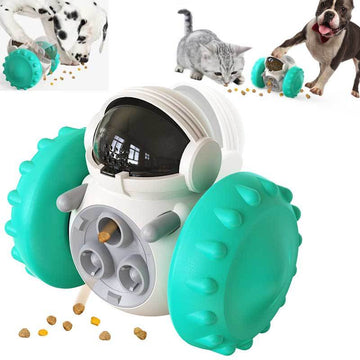 Slow Food Interactive Toy - Fitlab