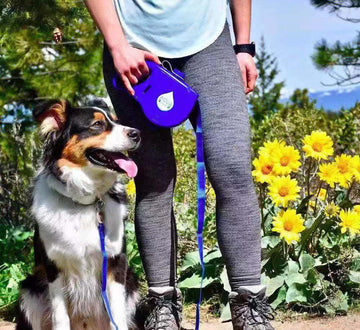 Pet Leash With Water Bowl