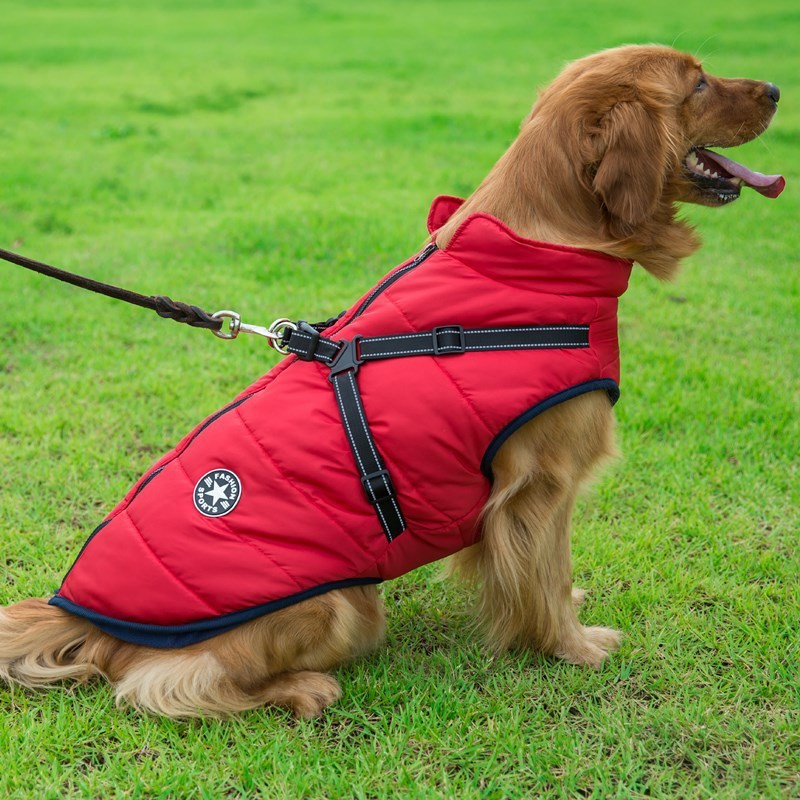 Chest Back Integrated Pet Vest