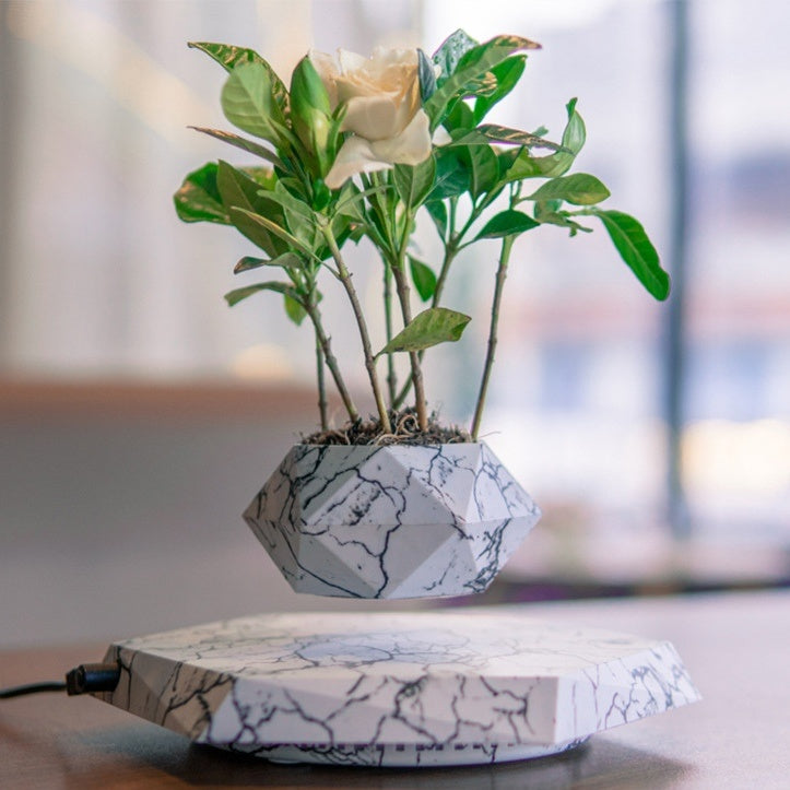 Floating Magnetic Levitating Flower