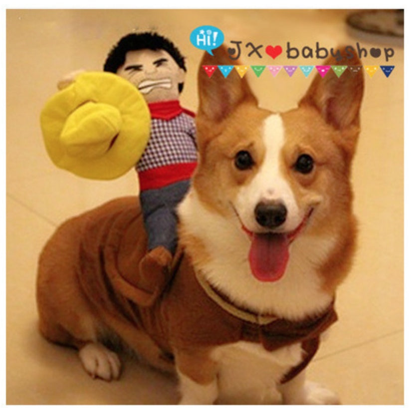 Ghost Riding Pet clothes