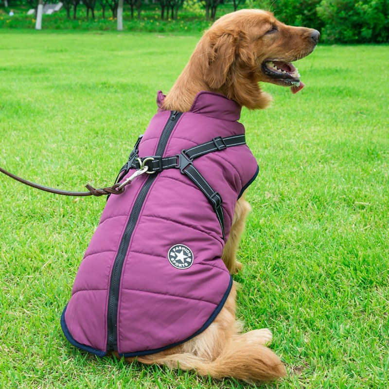 Chest Back Integrated Pet Vest