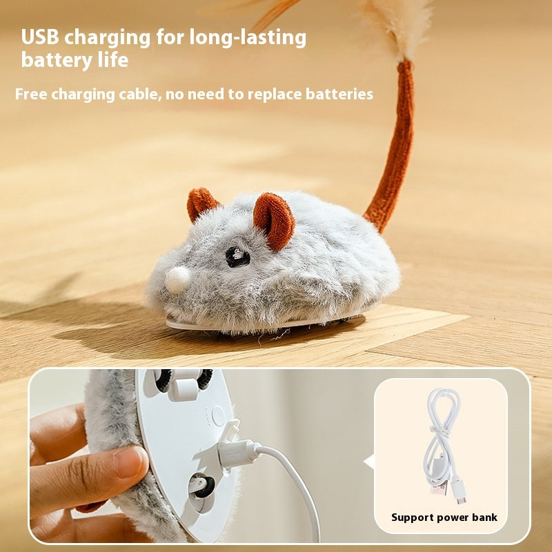 Electric Mouse Cat Toy