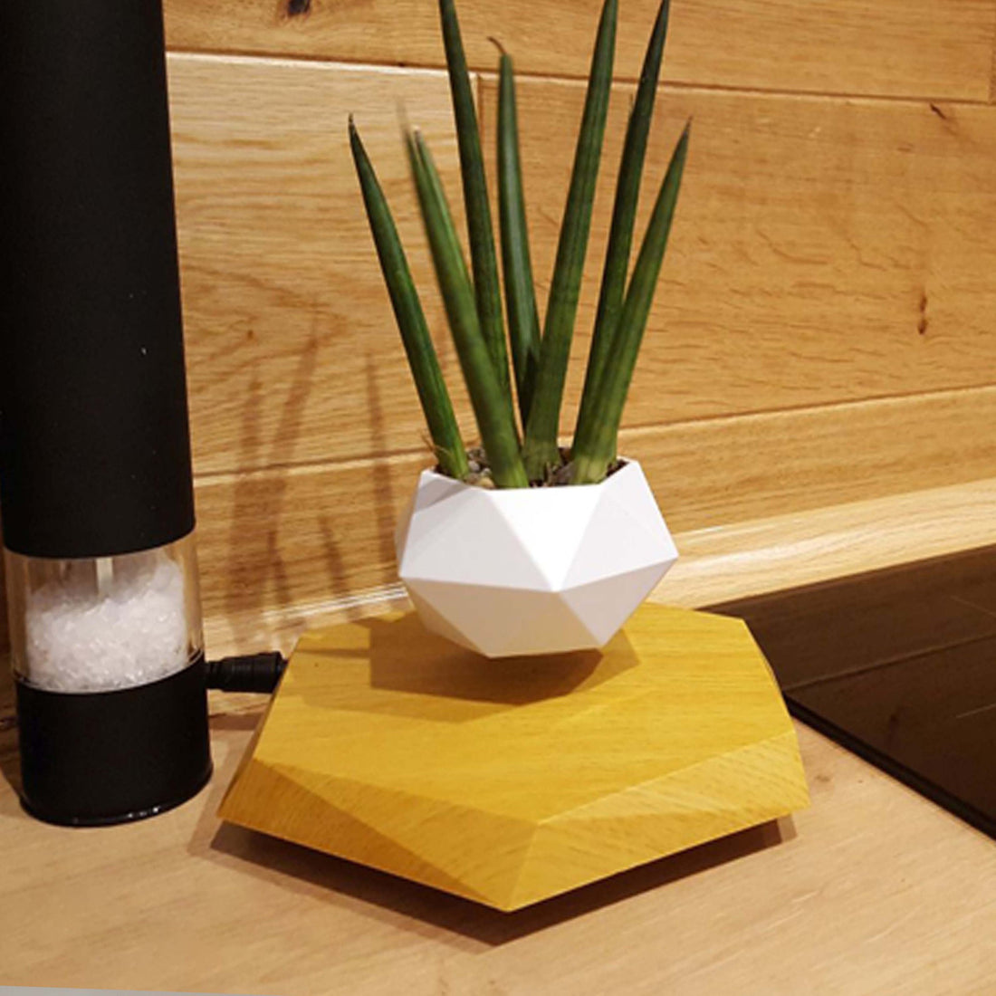 Marble Color Levitating Plant Pot