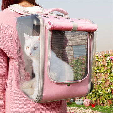 Breathable Cat Travel Backpack